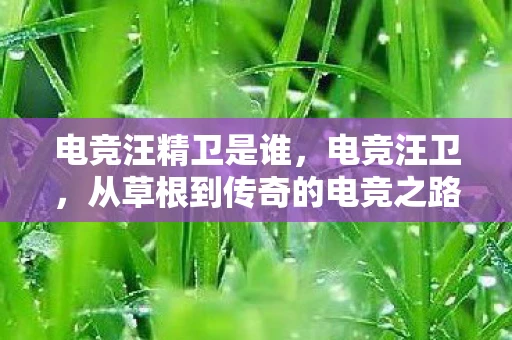 电竞汪精卫是谁,电竞汪卫,从草根到传奇的电竞之路 电竞汪精卫是谁,电竞汪卫,从草根到传奇的电竞之路