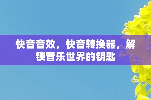 快音音效，快音转换器，解锁音乐世界的钥匙