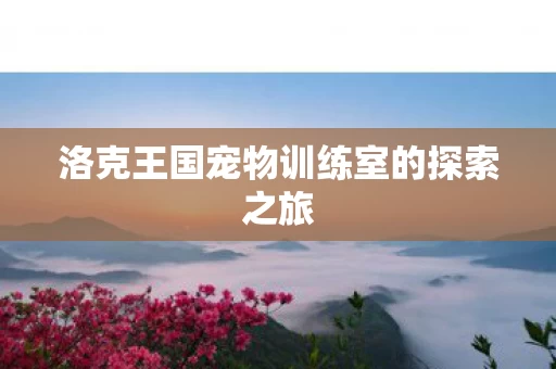洛克王国宠物训练室的探索之旅图片