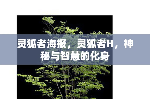 灵狐者海报，灵狐者H，神秘与智慧的化身