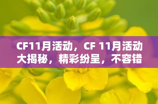 CF11月活动，CF 11月活动大揭秘，精彩纷呈，不容错过！