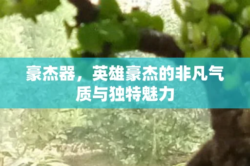 豪杰器,英雄豪杰的非凡气质与独特魅力 豪杰器,英雄豪杰的非凡气质与独特魅力