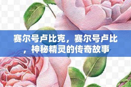 赛尔号卢比克,赛尔号卢比,神秘精灵的传奇故事 赛尔号卢比克,赛尔号卢比,神秘精灵的传奇故事