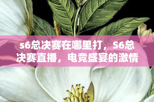 s6总决赛在哪里打,S6总决赛直播,电竞盛宴的激情碰撞 s6总决赛在哪里打,S6总决赛直播,电竞盛宴的激情碰撞