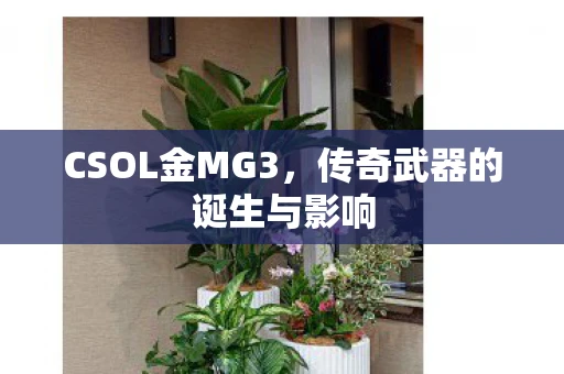 CSOL金MG3,传奇武器的诞生与影响 CSOL金MG3,传奇武器的诞生与影响