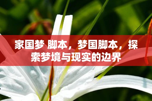 家国梦 脚本，梦国脚本，探索梦境与现实的边界