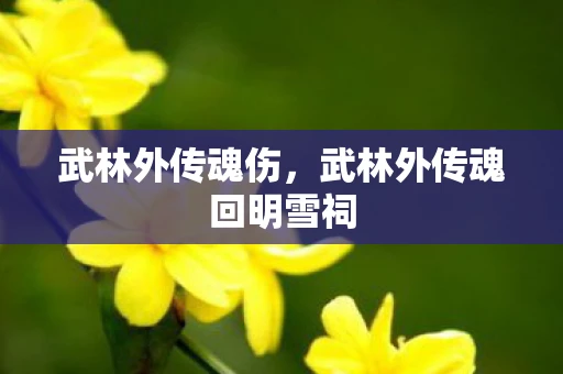 武林外传魂伤,武林外传魂回明雪祠 武林外传魂伤,武林外传魂回明雪祠