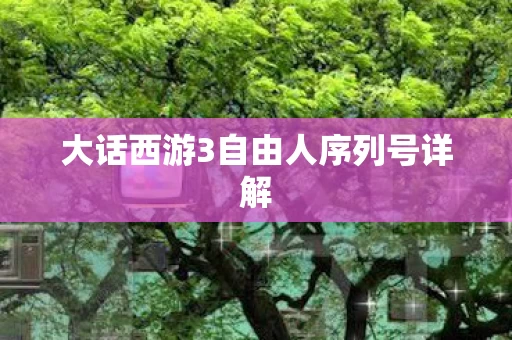 大话西游3自由人序列号详解图片