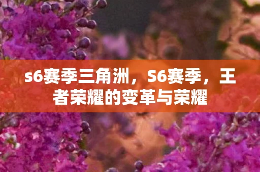 s6赛季三角洲，S6赛季，王者荣耀的变革与荣耀