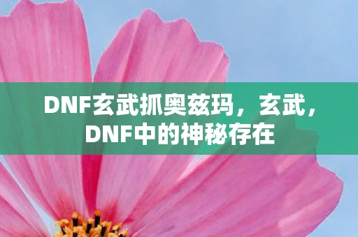 DNF玄武抓奥兹玛,玄武,DNF中的神秘存在 DNF玄武抓奥兹玛,玄武,DNF中的神秘存在