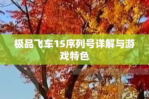 极品飞车15序列号详解与游戏特色图片