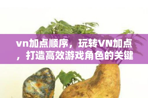 vn加点顺序，玩转VN加点，打造高效游戏角色的关键