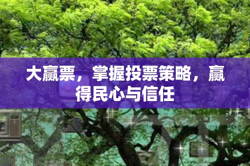 大赢票，掌握投票策略，赢得民心与信任