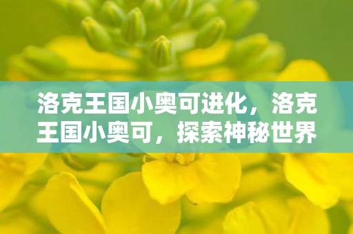 洛克王国小奥可进化，洛克王国小奥可，探索神秘世界的奇妙之旅