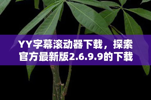 YY字幕滚动器下载图片