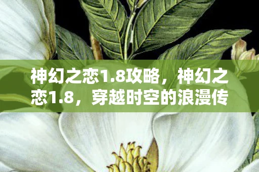 神幻之恋1.8攻略，神幻之恋1.8，穿越时空的浪漫传奇