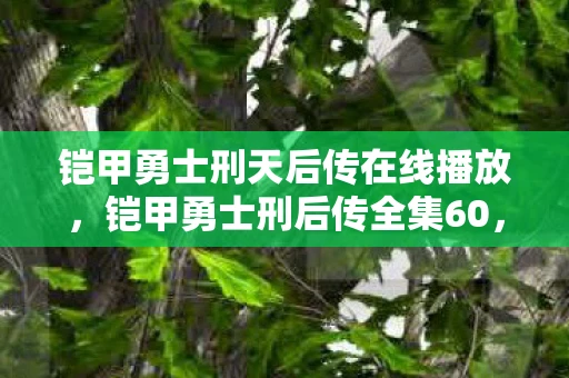 铠甲勇士刑天后传在线播放，铠甲勇士刑后传全集60，终极对决，命运的抉择