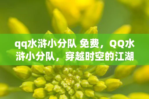 qq水浒小分队 免费，QQ水浒小分队，穿越时空的江湖情缘