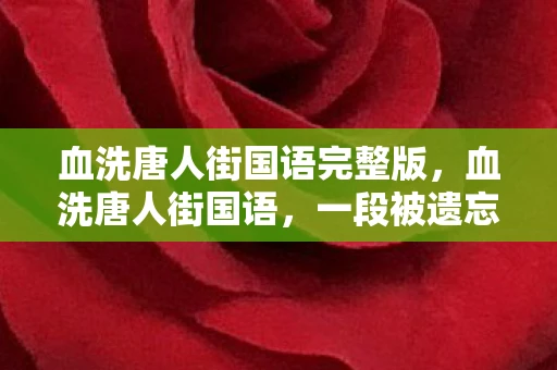 血洗唐人街国语完整版,血洗唐人街国语,一段被遗忘的历史 血洗唐人街国语完整版,血洗唐人街国语,一段被遗忘的历史