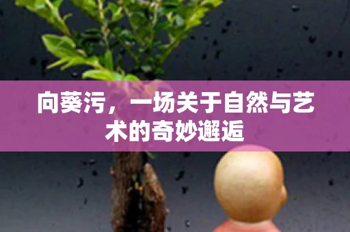 向葵污，一场关于自然与艺术的奇妙邂逅