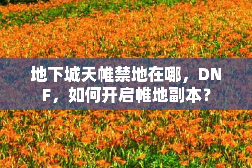 地下城天帷禁地在哪,DNF,如何开启帷地副本? 地下城天帷禁地在哪,DNF,如何开启帷地副本?