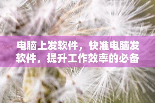 电脑上发软件,快准电脑发软件,提升工作效率的必备工具 电脑上发软件,快准电脑发软件,提升工作效率的必备工具