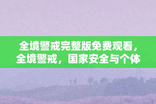 全境警戒完整版免费观看，全境警戒，国家安全与个体责任的交响曲