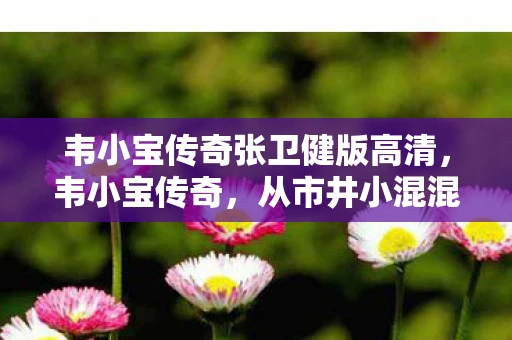 韦小宝传奇张卫健版高清，韦小宝传奇，从市井小混混到江湖大侠的逆袭之路