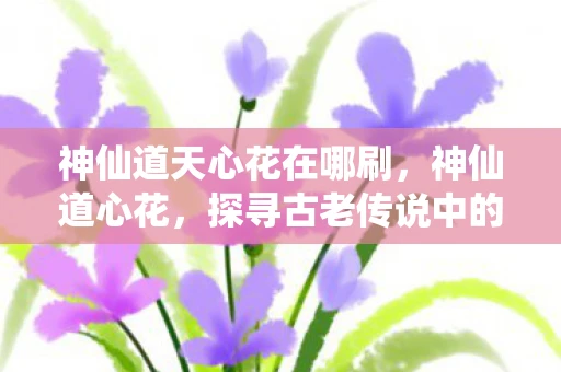 神仙道天心花在哪刷，神仙道心花，探寻古老传说中的神秘花卉
