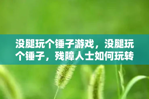 没腿玩个锤子游戏,没腿玩个锤子,残障人士如何玩转游戏世界 没腿玩个锤子游戏,没腿玩个锤子,残障人士如何玩转游戏世界