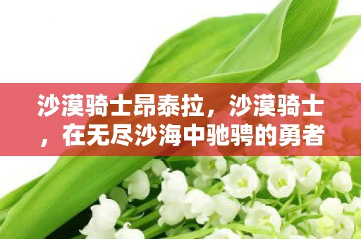 沙漠骑士昂泰拉，沙漠骑士，在无尽沙海中驰骋的勇者