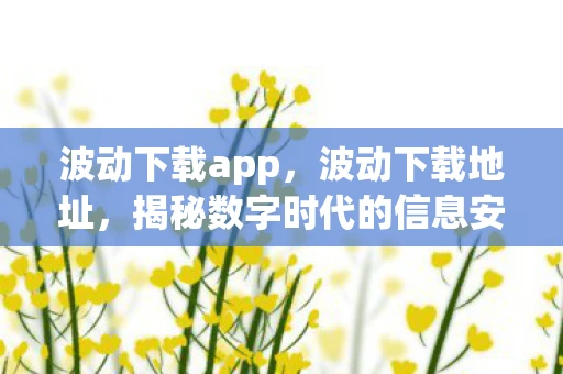 波动下载app,波动下载地址,揭秘数字时代的信息安全挑战 波动下载app,波动下载地址,揭秘数字时代的信息安全挑战