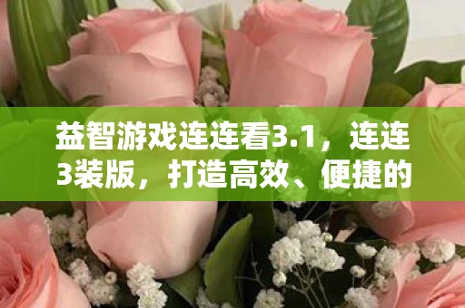 益智游戏连连看3.1，连连3装版，打造高效、便捷的支付解决方案