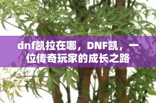 dnf凯拉在哪,DNF凯,一位传奇玩家的成长之路 dnf凯拉在哪,DNF凯,一位传奇玩家的成长之路