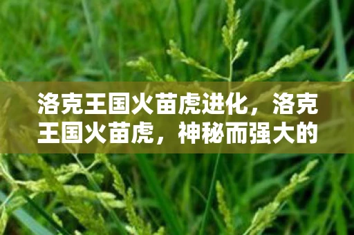 洛克王国火苗虎进化,洛克王国火苗虎,神秘而强大的存在 洛克王国火苗虎进化,洛克王国火苗虎,神秘而强大的存在