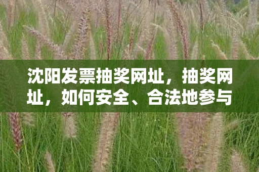 沈阳发票抽奖网址，抽奖网址，如何安全、合法地参与网络抽奖活动