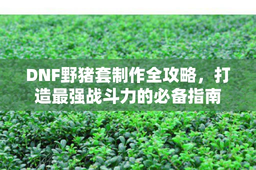 DNF野猪套制作全攻略，打造最强战斗力的必备指南