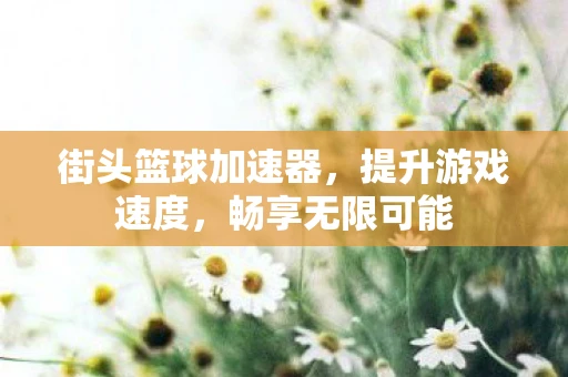 街头篮球加速器，提升游戏速度，畅享无限可能
