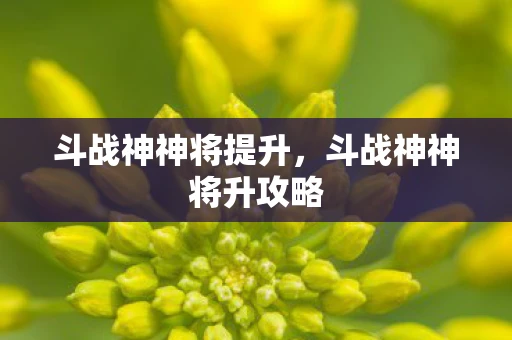 斗战神神将提升，斗战神神将升攻略