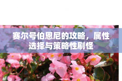 属性选择与策略性刷怪图片