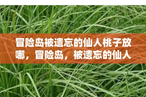 冒险岛被遗忘的仙人桃子放哪，冒险岛，被遗忘的仙人