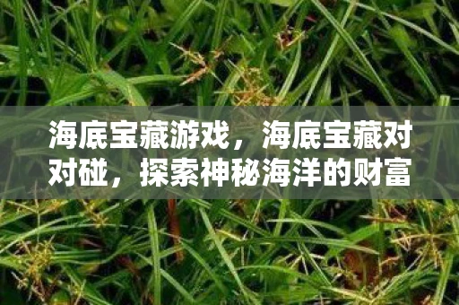 海底宝藏游戏,海底宝藏对对碰,探索神秘海洋的财富之旅 海底宝藏游戏,海底宝藏对对碰,探索神秘海洋的财富之旅