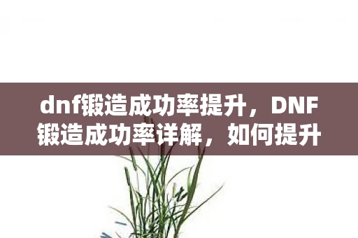 dnf锻造成功率提升，DNF锻造成功率详解，如何提升成功率，打造极品装备