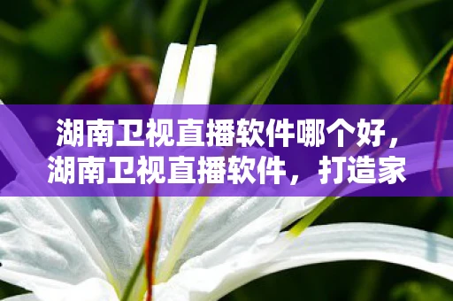 湖南卫视直播软件哪个好，湖南卫视直播软件，打造家庭娱乐新体验