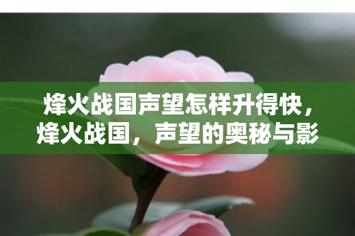 烽火战国声望怎样升得快，烽火战国，声望的奥秘与影响