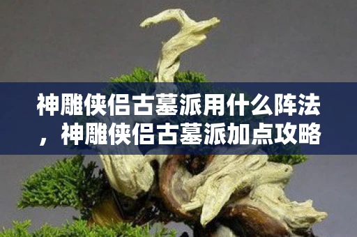 神雕侠侣古墓派用什么阵法，神雕侠侣古墓派加点攻略，打造最强武侠角色