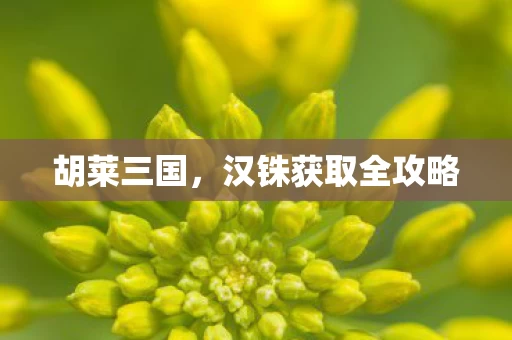 汉铢获取全攻略图片