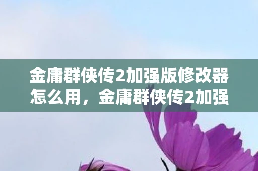 金庸群侠传2加强版修改器怎么用，金庸群侠传2加强版修改器，解锁武侠世界的无限可能