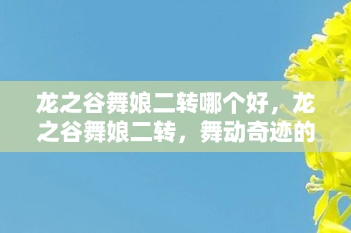 龙之谷舞娘二转哪个好，龙之谷舞娘二转，舞动奇迹的华丽转身