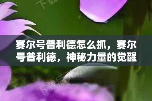 赛尔号普利德怎么抓,赛尔号普利德,神秘力量的觉醒 赛尔号普利德怎么抓,赛尔号普利德,神秘力量的觉醒